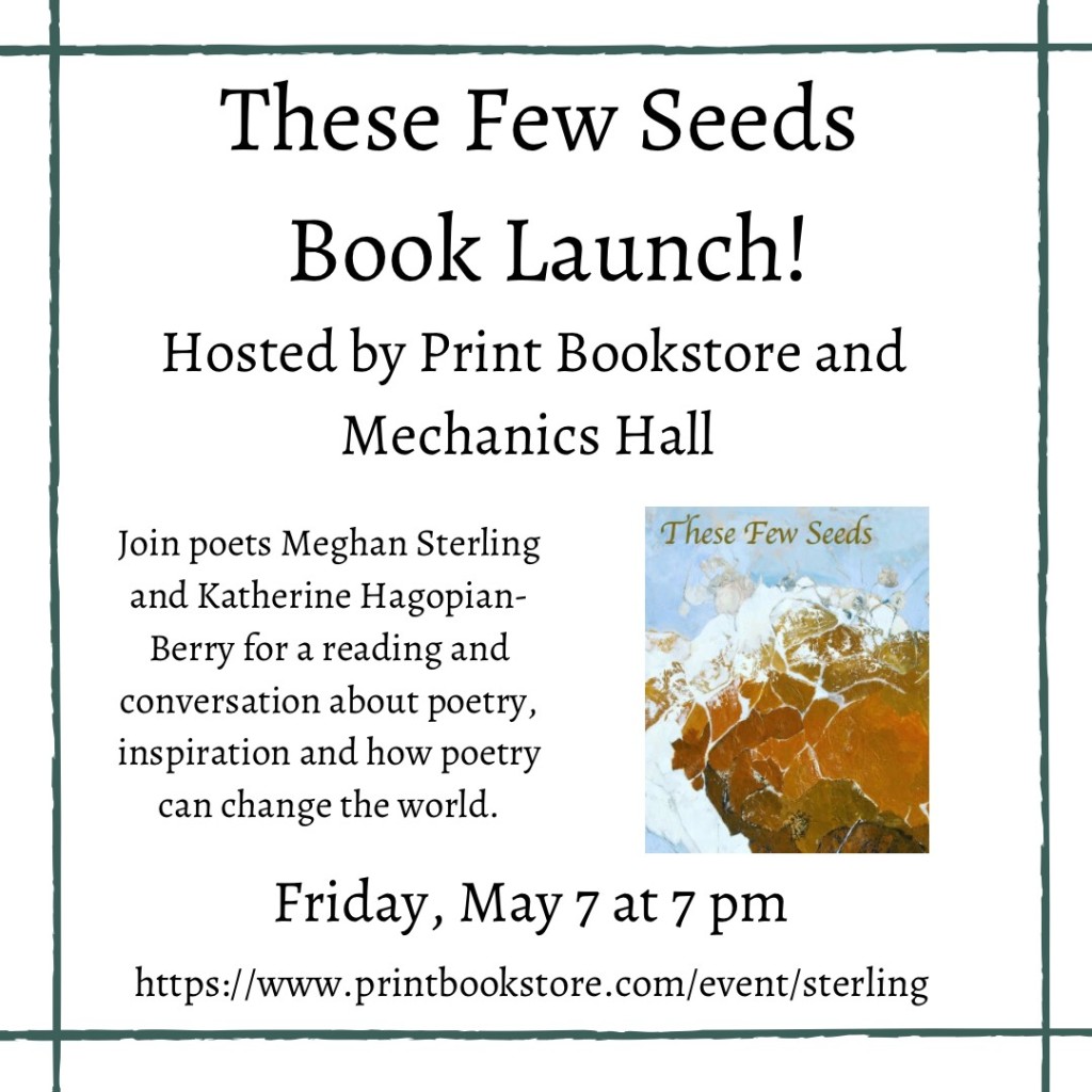 these few seeds book launch flyer