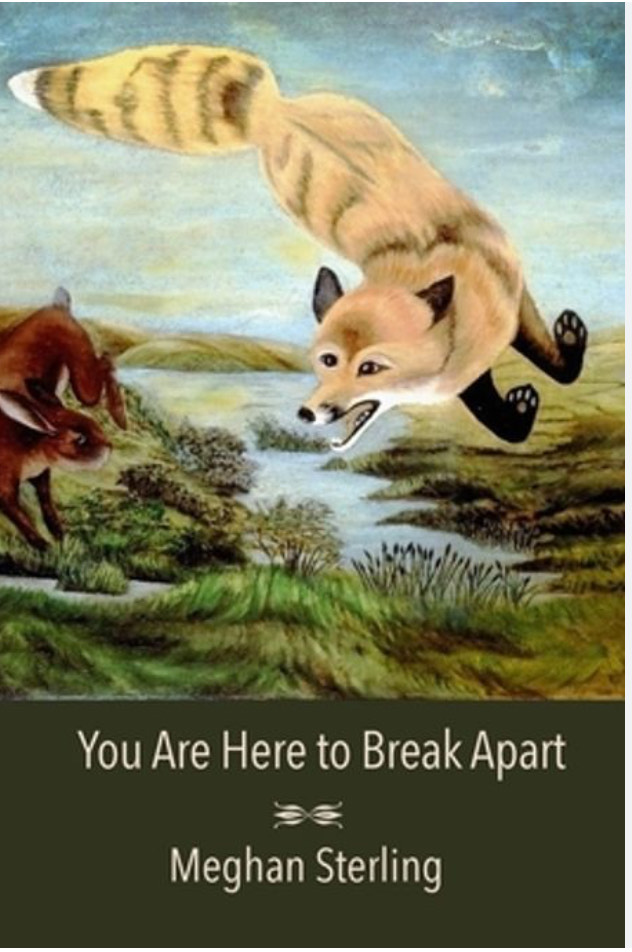 you are here to break apart cover